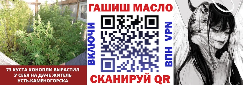 mega tor  Сясьстрой  ТГК гашишное масло  где продают наркотики 