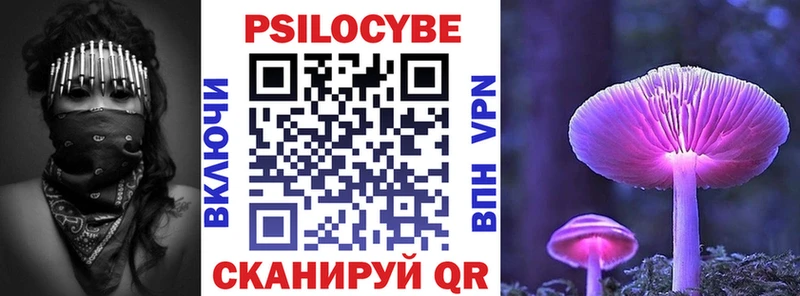Псилоцибиновые грибы Psilocybine cubensis  Сясьстрой 